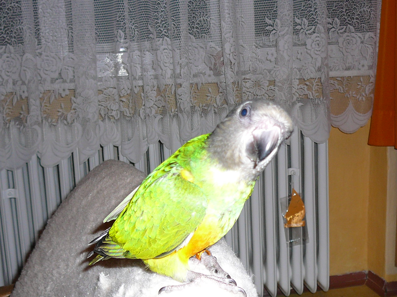 Snímek 062.jpg